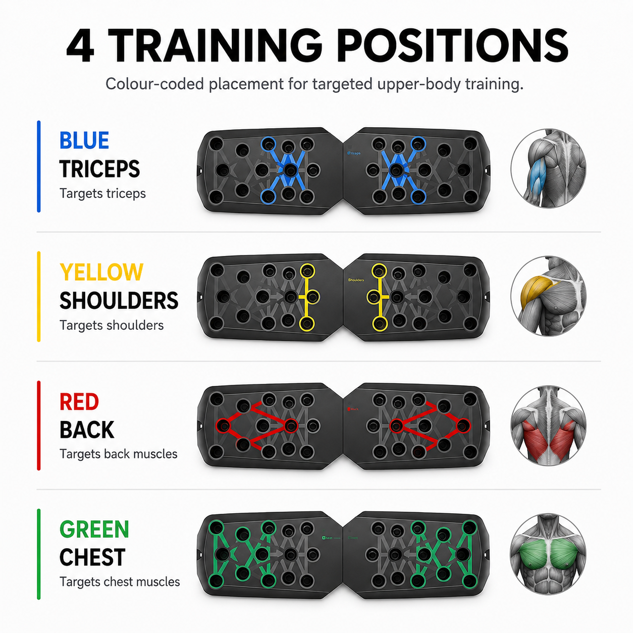 Multifunctional Push-Up Board – Targeted Upper-Body Training
